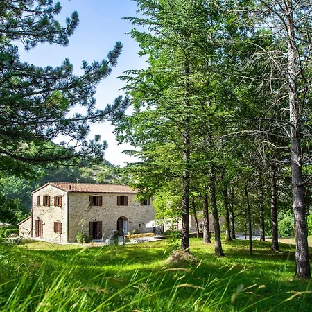 Valguerriera - Grano *