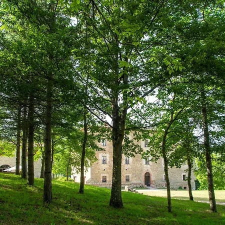 Valguerriera - Grano *