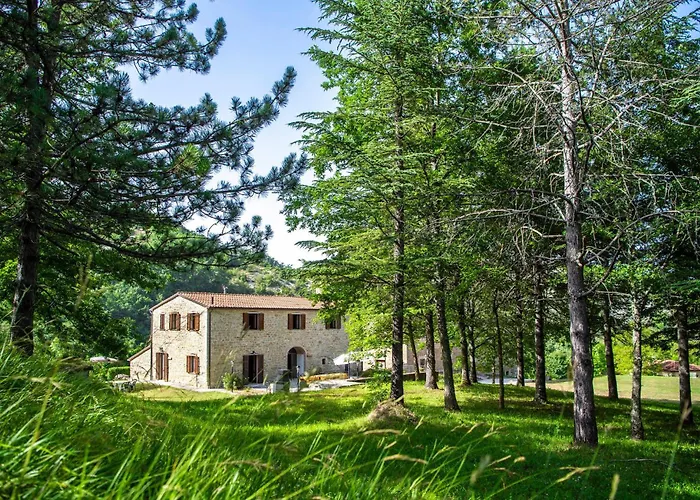 Valguerriera - Grano *